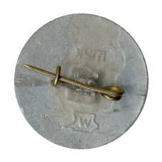 Значок Волгоград (вид 2)