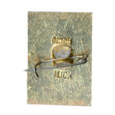 Значок Владимир (вид 2)