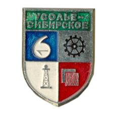 Значок Усолье-сибирское