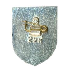 Значок Усолье-сибирское (вид 2)