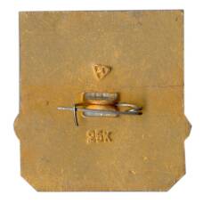 Значок Владимир (вид 2)