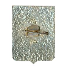 Значок Юрьев (вид 2)