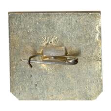 Значок Владимир (вид 2)