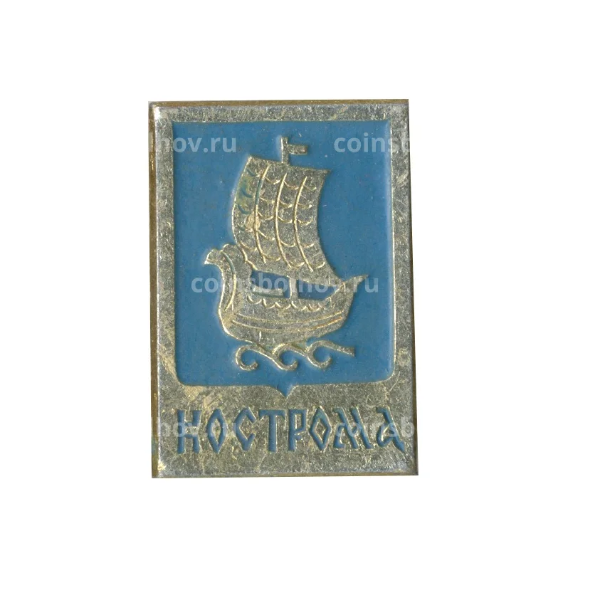 Значок Кострома