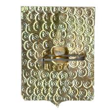 Значок Владимир (вид 2)