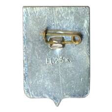 Значок Старая Русса (вид 2)