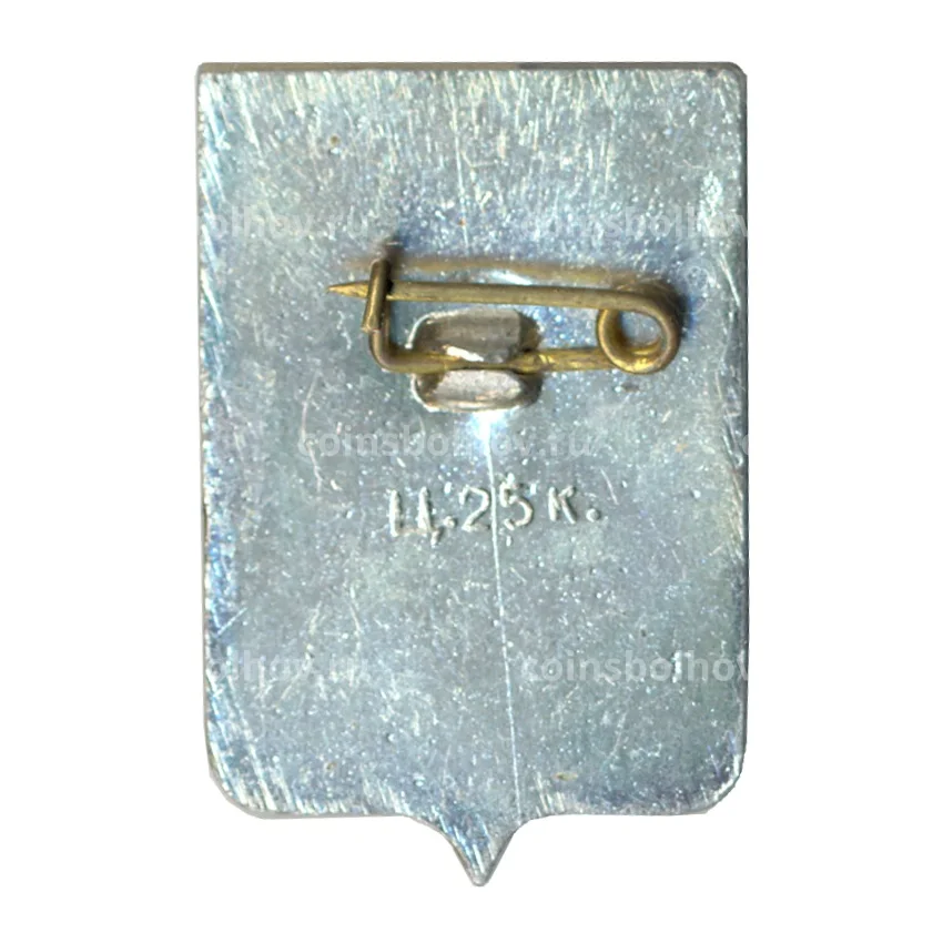 Значок Старая Русса (вид 2)