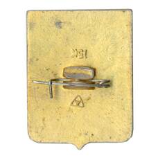 Значок Владимир (вид 2)