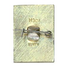 Значок Кострома (вид 2)