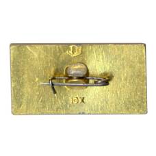 Значок Ростов (вид 2)