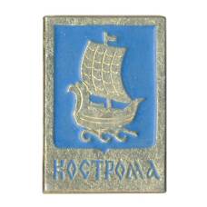 Значок Кострома