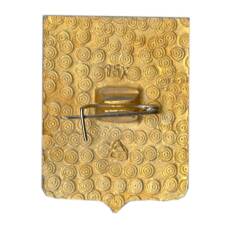 Значок Владимир (вид 2)