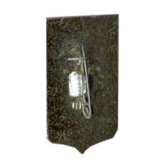 Значок Пенза (вид 2)