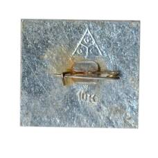 Значок Владимир (вид 2)