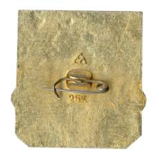 Значок Владимир (вид 2)