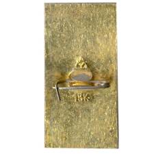 Значок Владимир (вид 2)