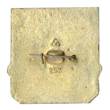 Значок Владимир (вид 2)