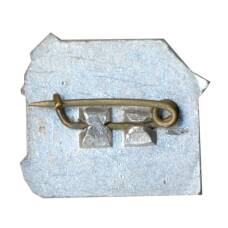 Значок Рига (вид 2)