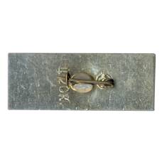 Значок Днепропетровск (вид 2)