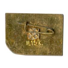 Значок Черкассы (вид 2)