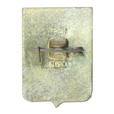 Значок Волгоград (вид 2)