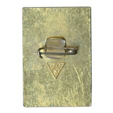 Значок Владимир (вид 2)