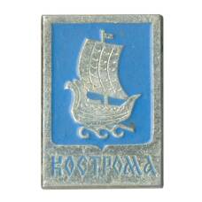 Значок Кострома