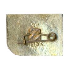 Значок Черкассы (вид 2)