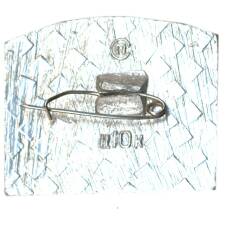 Значок Горький (вид 2)