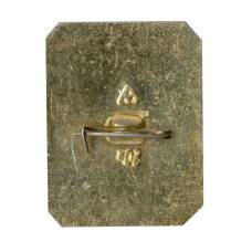 Значок Владимир (вид 2)