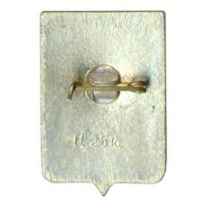 Значок Боровичи (вид 2)