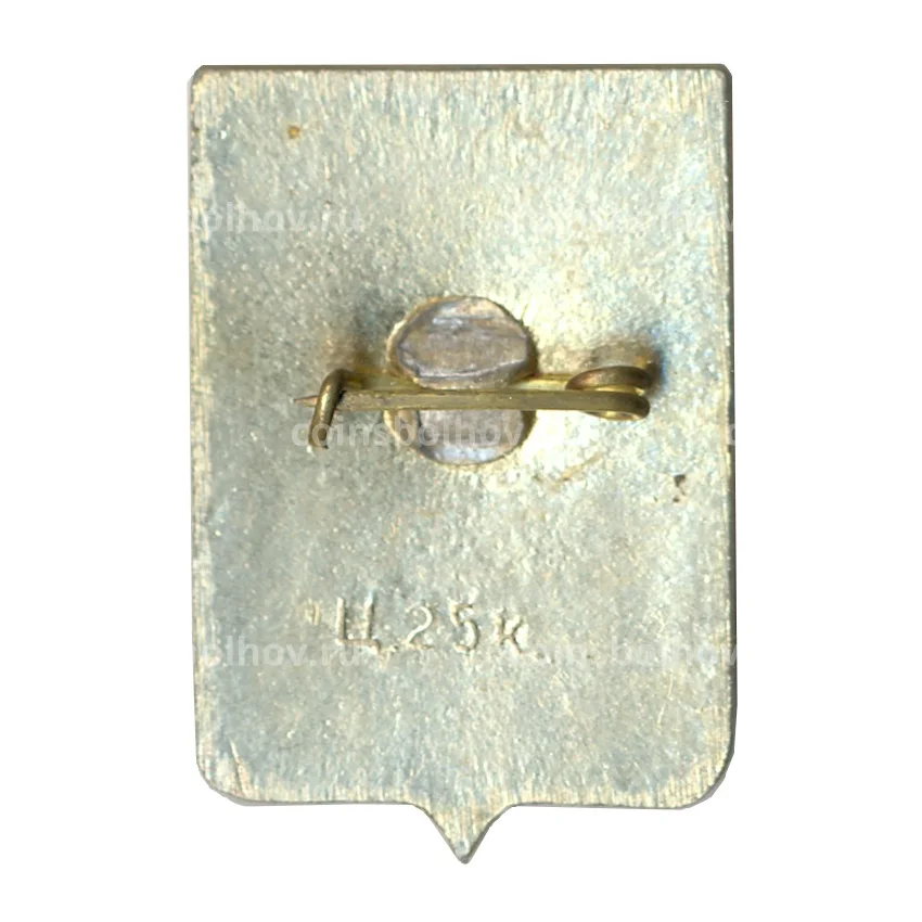 Значок Боровичи (вид 2)