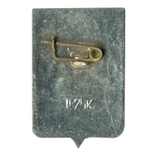 Значок Боровичи (вид 2)