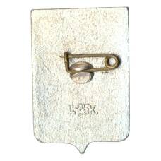 Значок Новгород (вид 2)