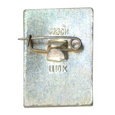 Значок Кострома (вид 2)