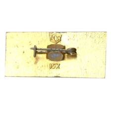 Значок Казань (вид 2)