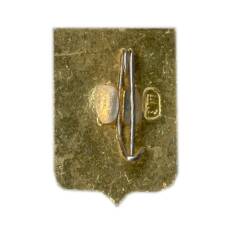 Значок Владимир (вид 2)