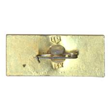 Значок Коломна (вид 2)