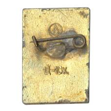 Значок Петродворец (вид 2)