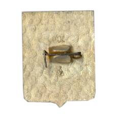 Значок Юрьев (вид 2)