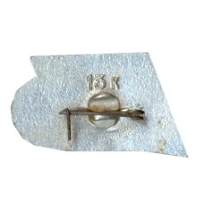 Значок Горький (вид 2)