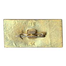 Значок Рязань (вид 2)