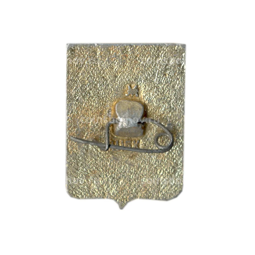 Значок Волгоград (вид 2)