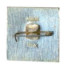 Значок  Новгород (вид 2)