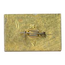 Значок Владимир (вид 2)