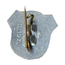 Значок Рига (вид 2)