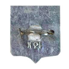 Значок Горький (вид 2)