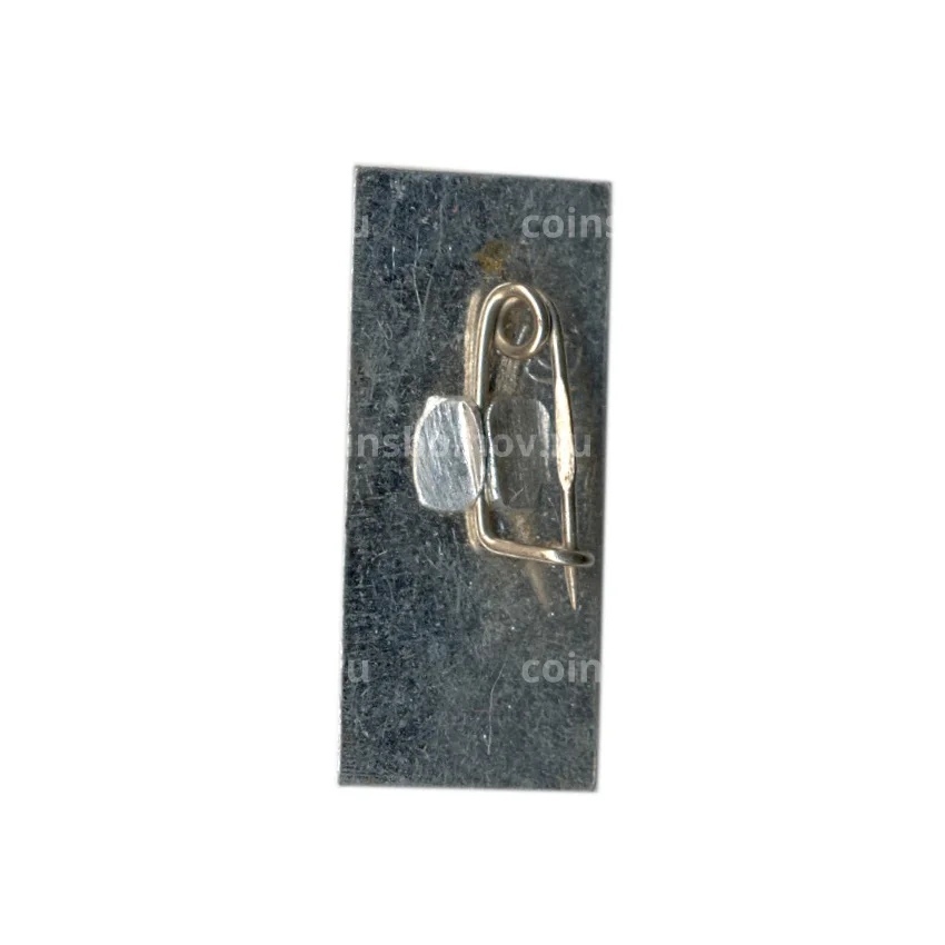 Значок Кусково (вид 2)