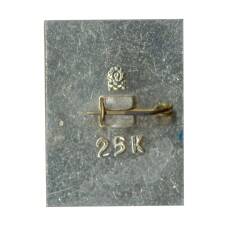 Значок Кола (вид 2)