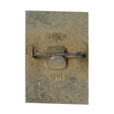 Значок Владимир (вид 2)